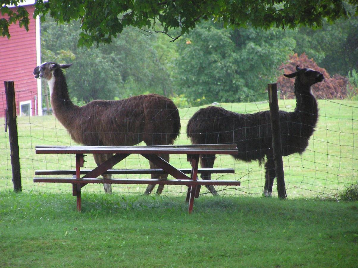 Maple Hill Farm Inn Augusta Esterno foto